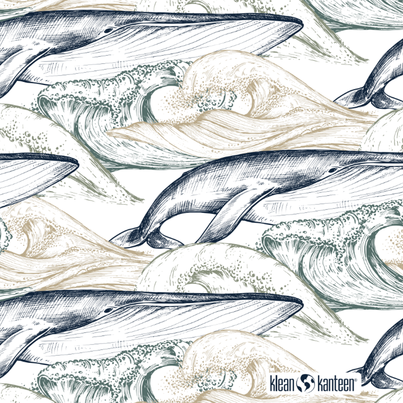 20oz-tkwide-with-twist-cap-ocean-day-a3 20oz_tkwide_bottle_seasonal_ocean_day_whale_artwork_square.png