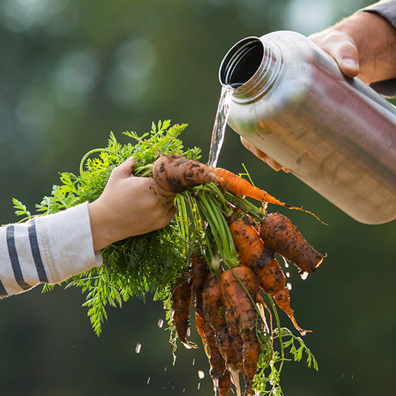 64oz-wide-with-loop-cap-c0 64oz_wide_mouth_bottle_carrots_rinse_square.jpg